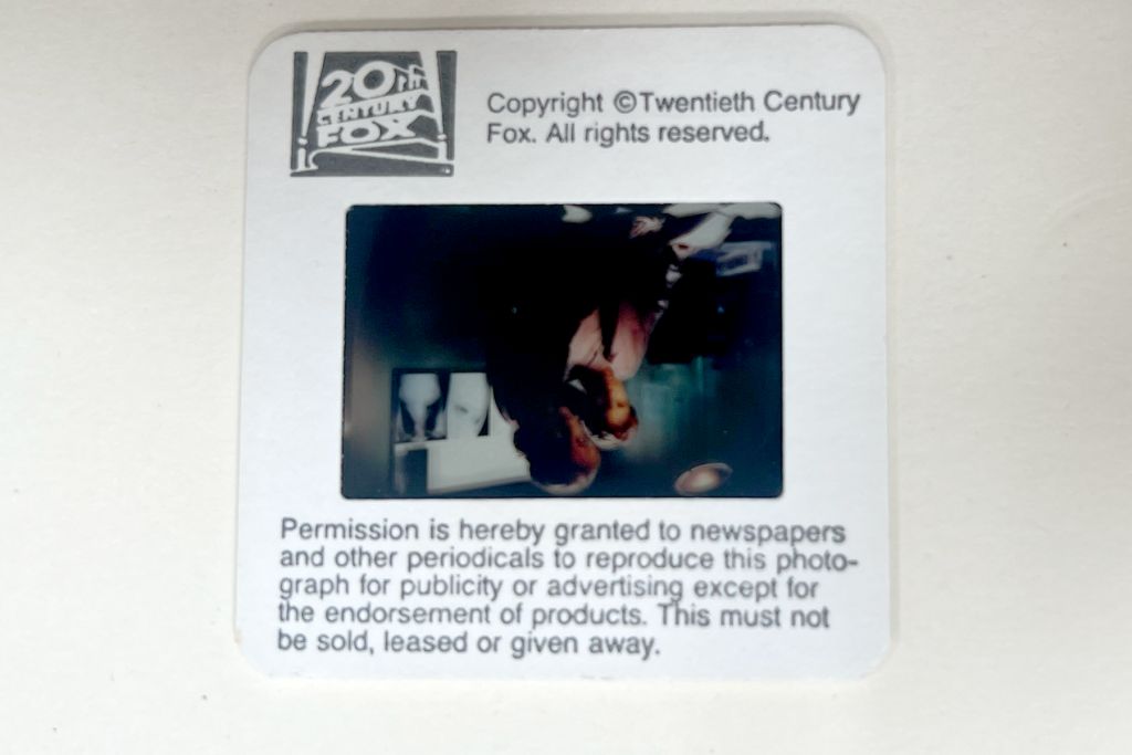 David Duchovny, Gillian Anderson