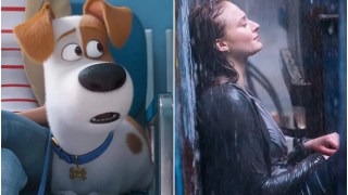 ‘Secret Life of Pets 2,’ ‘Dark Phoenix’ Disappoint at Sequel-Loaded Box Office